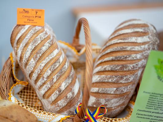 Painea-Anului-2019---Industrial-III