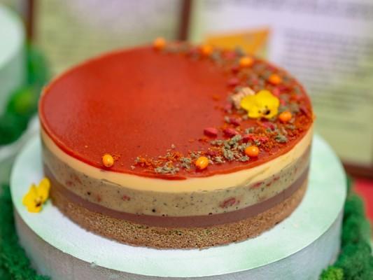 cake-of-the-year---Nasa-Cake