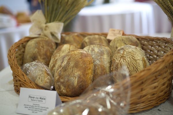 paine-industriala-loc3